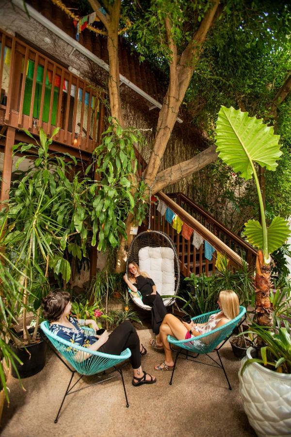 Отель Solarium Colorado Форт Коллинс Экстерьер фото